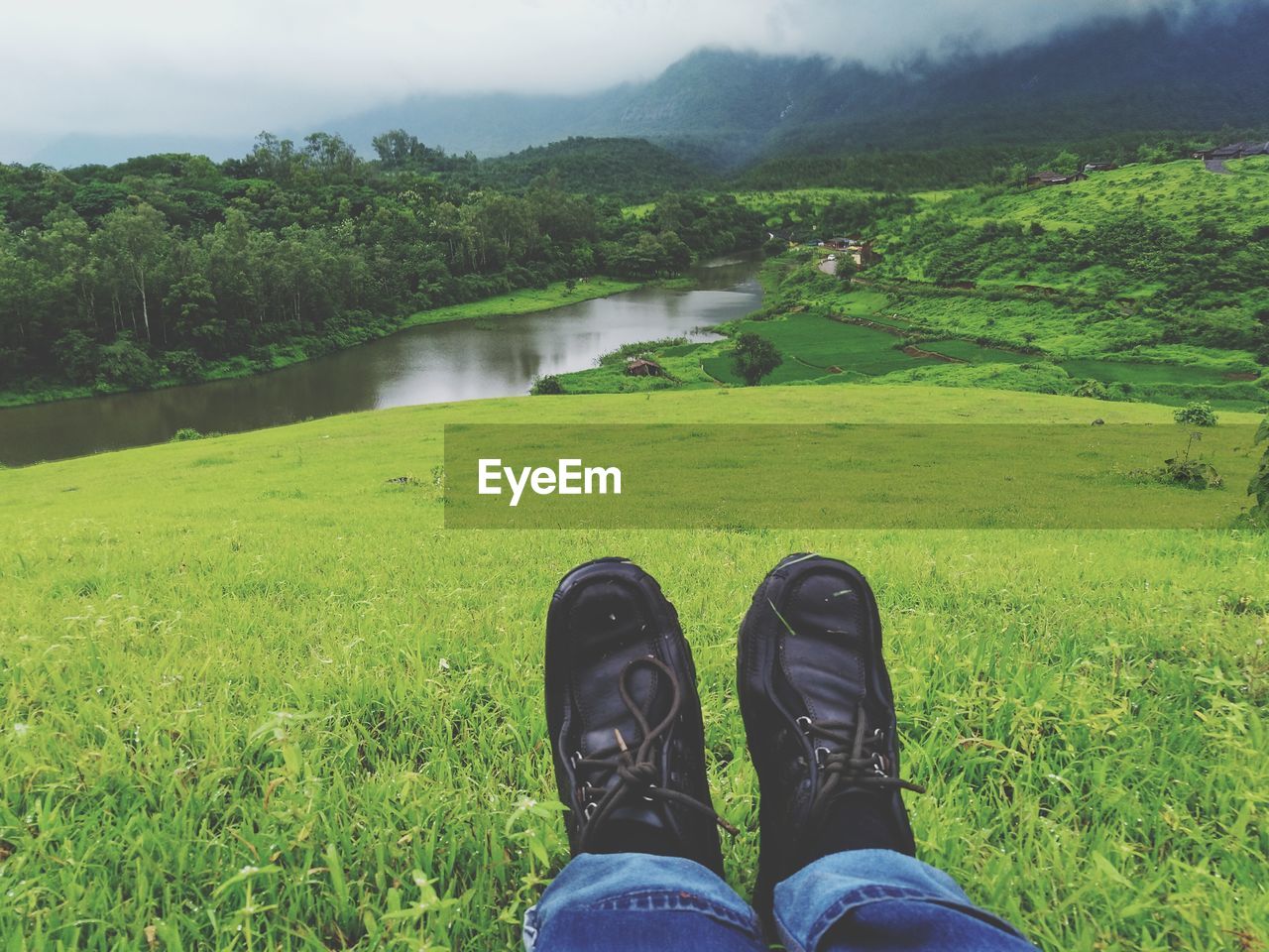 Low section of person on grass by lake