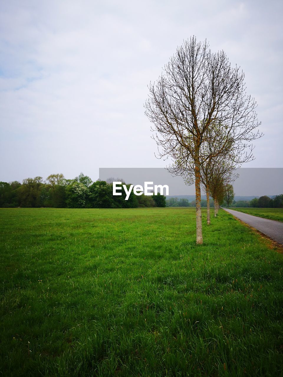 SCENIC VIEW OF LAND AGAINST SKY