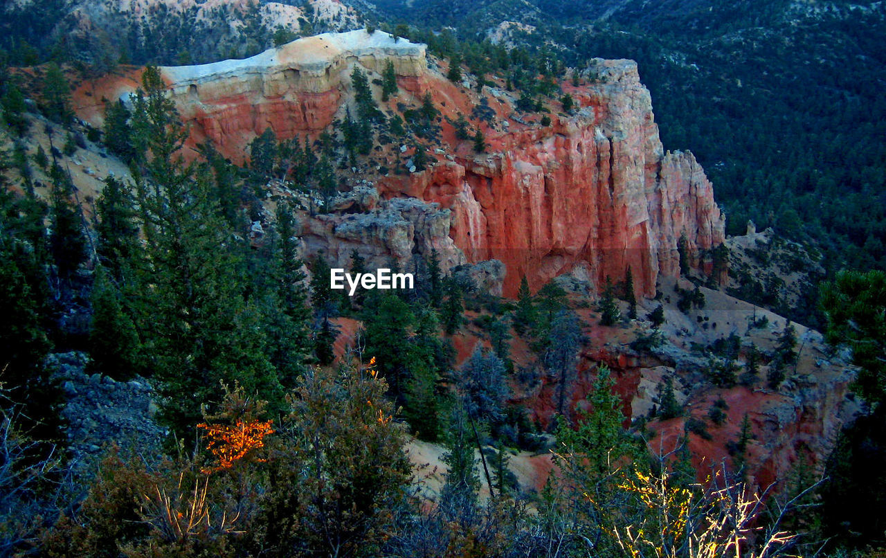 VIEW OF ROCKS AND TREES ON ROCK