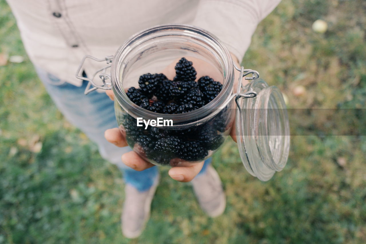 Low section of man holding blackberries in jar on field