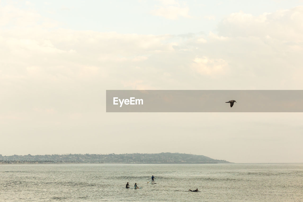 BIRDS FLYING OVER SEA