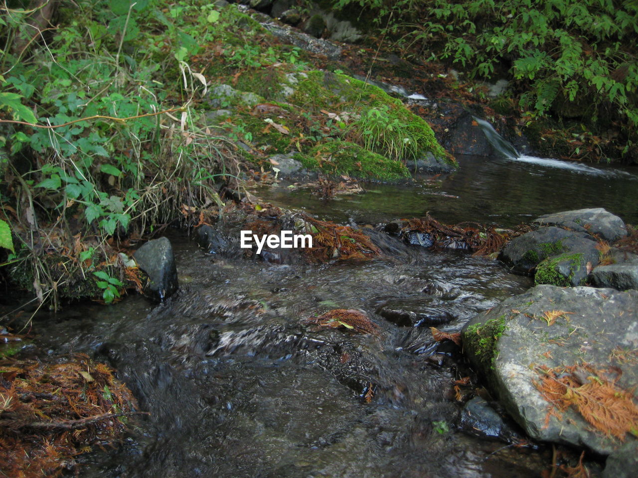 HIGH ANGLE VIEW OF WATER FLOWING IN PARK