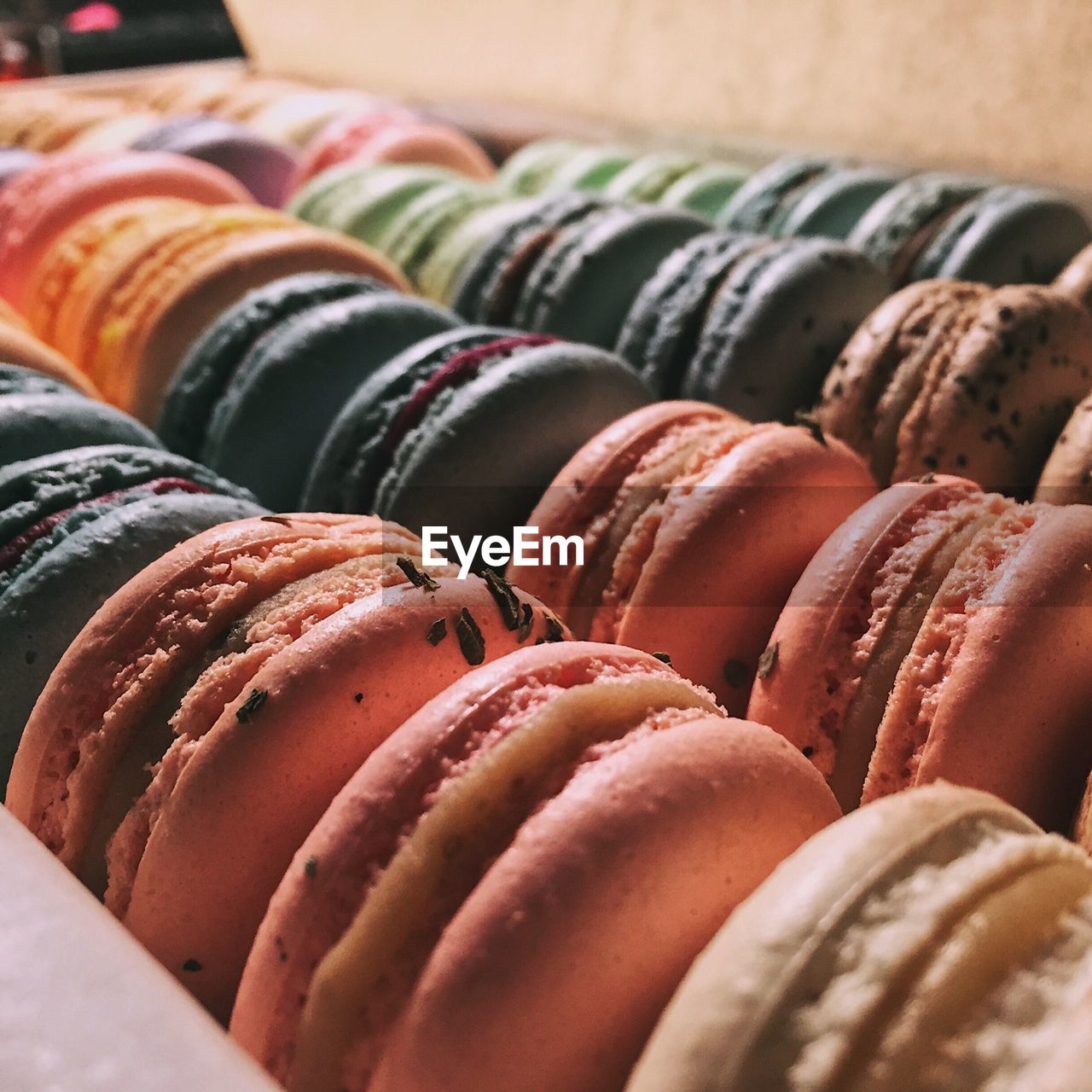 Close-up of multi colored macaroons