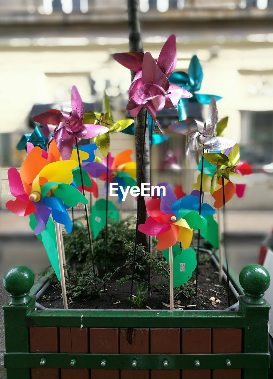 Colorful pinwheels by potted plant