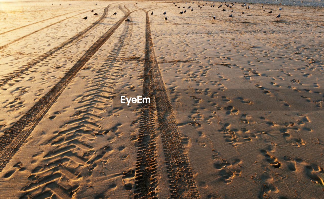Full frame shot of tire tracks and footprints on wet sand during sunny day
