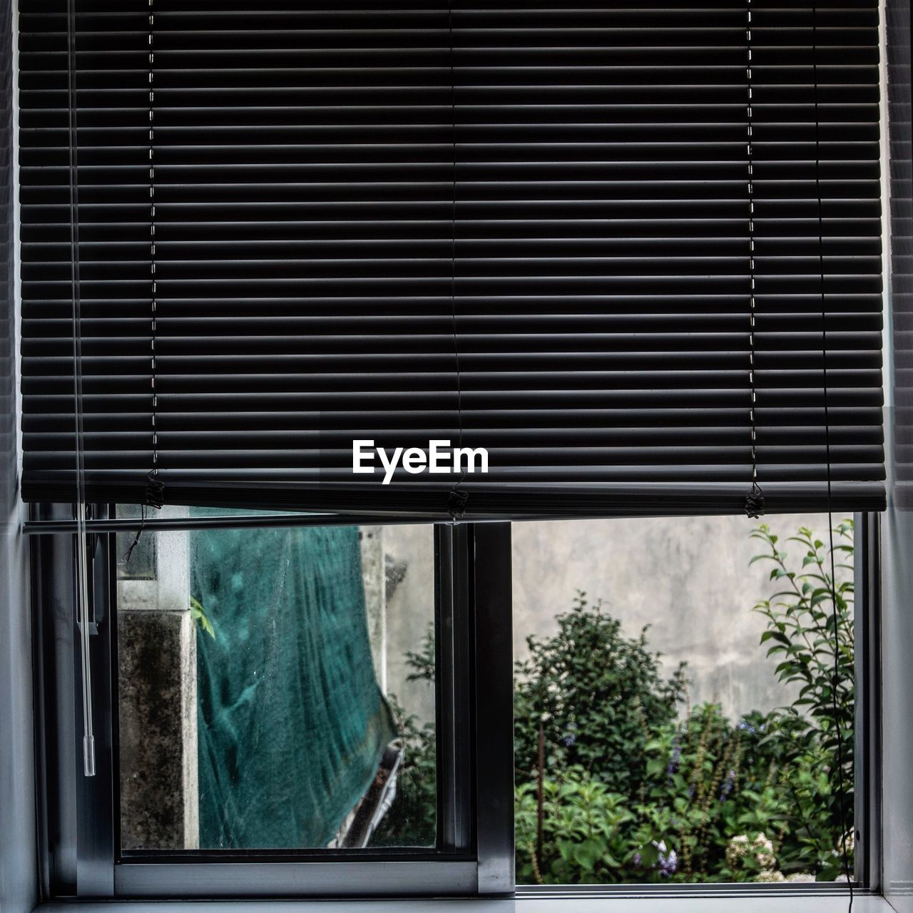 Close-up of window against building