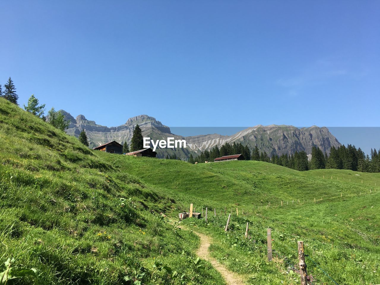 Scenic view of field against clear blue sky