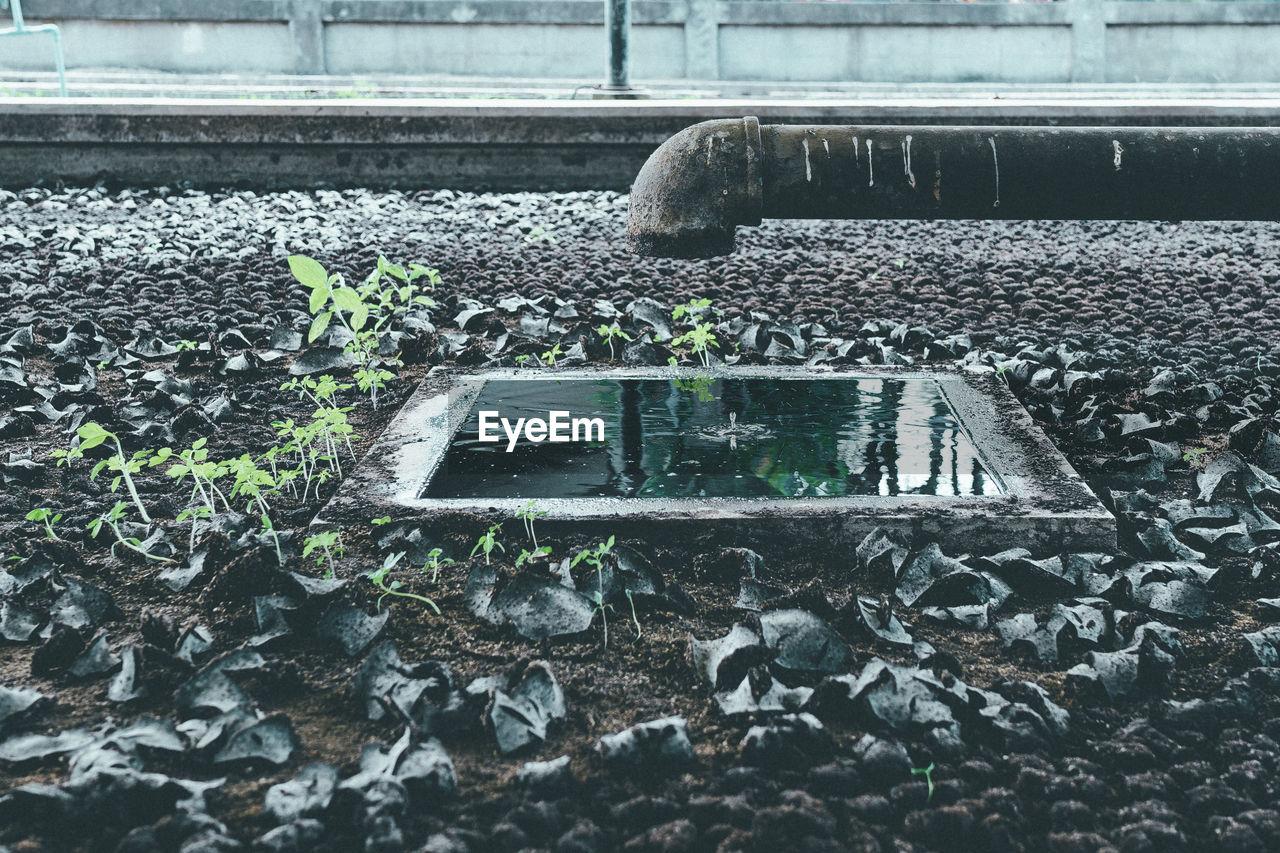 VIEW OF RAILROAD TRACKS BY WATER