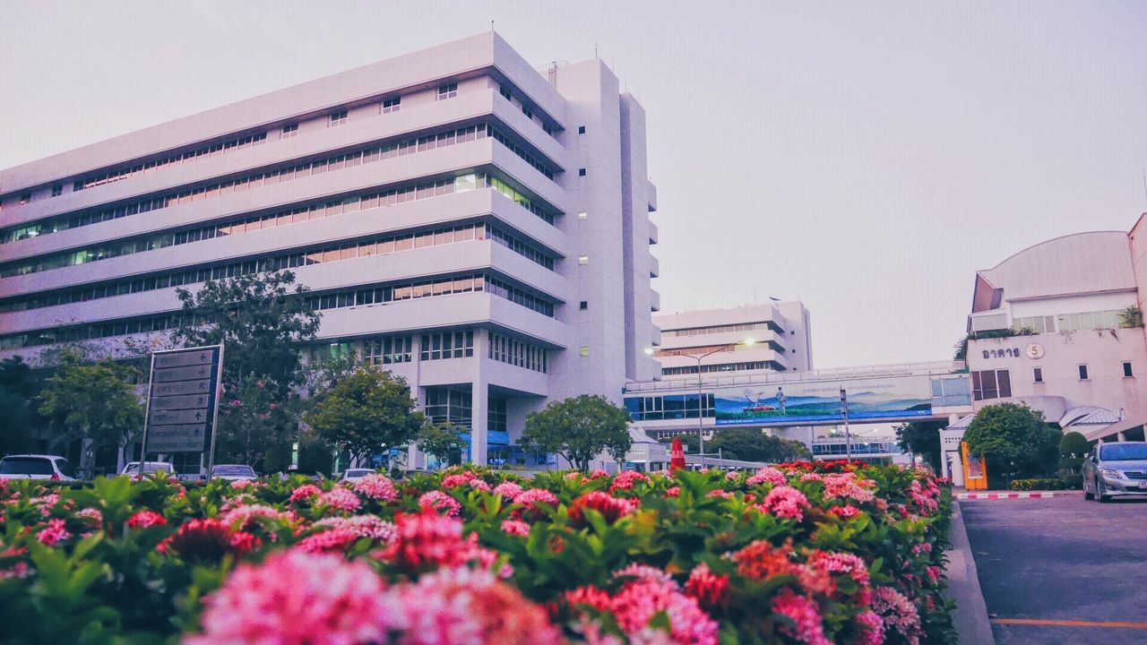 VIEW OF PLANTS AGAINST BUILDINGS