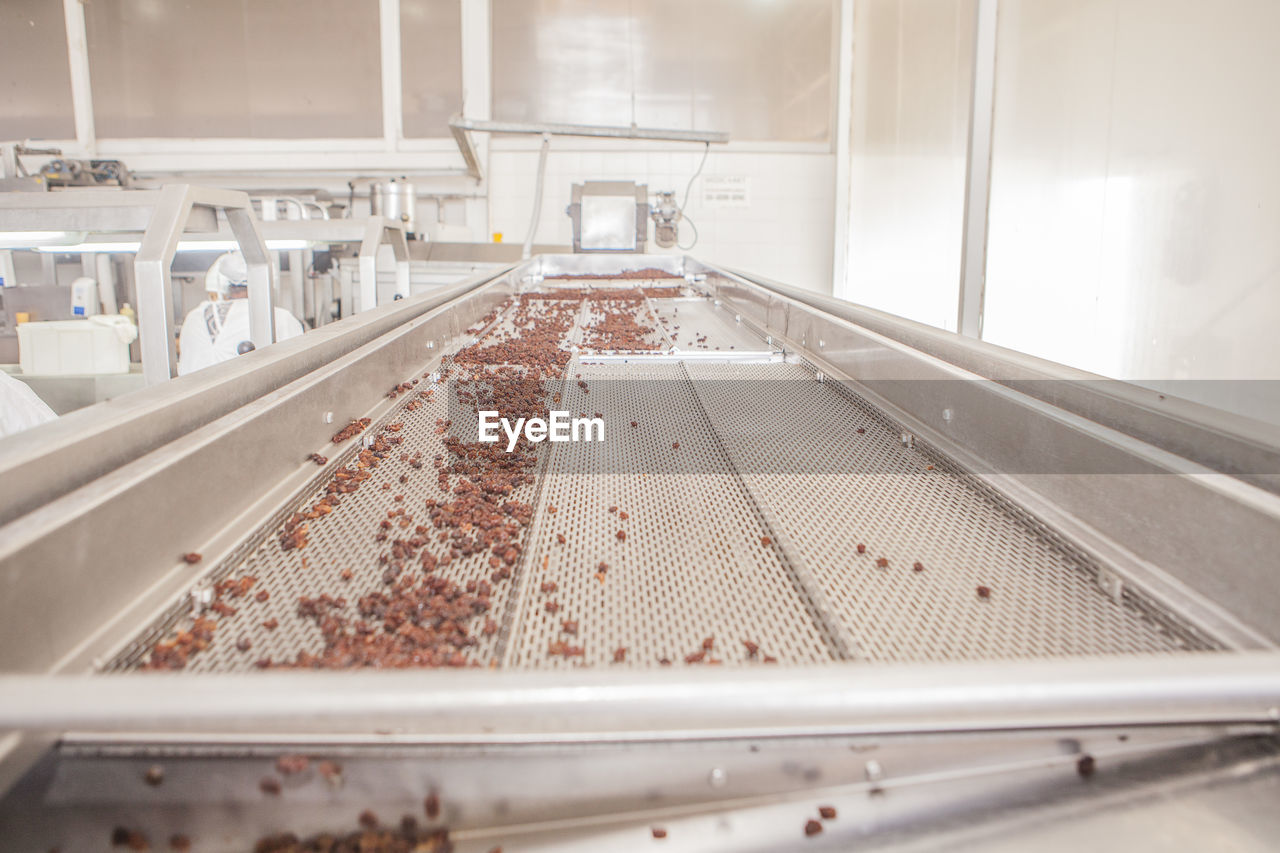 Automatic grape sorting on conveyor in workshop of winery