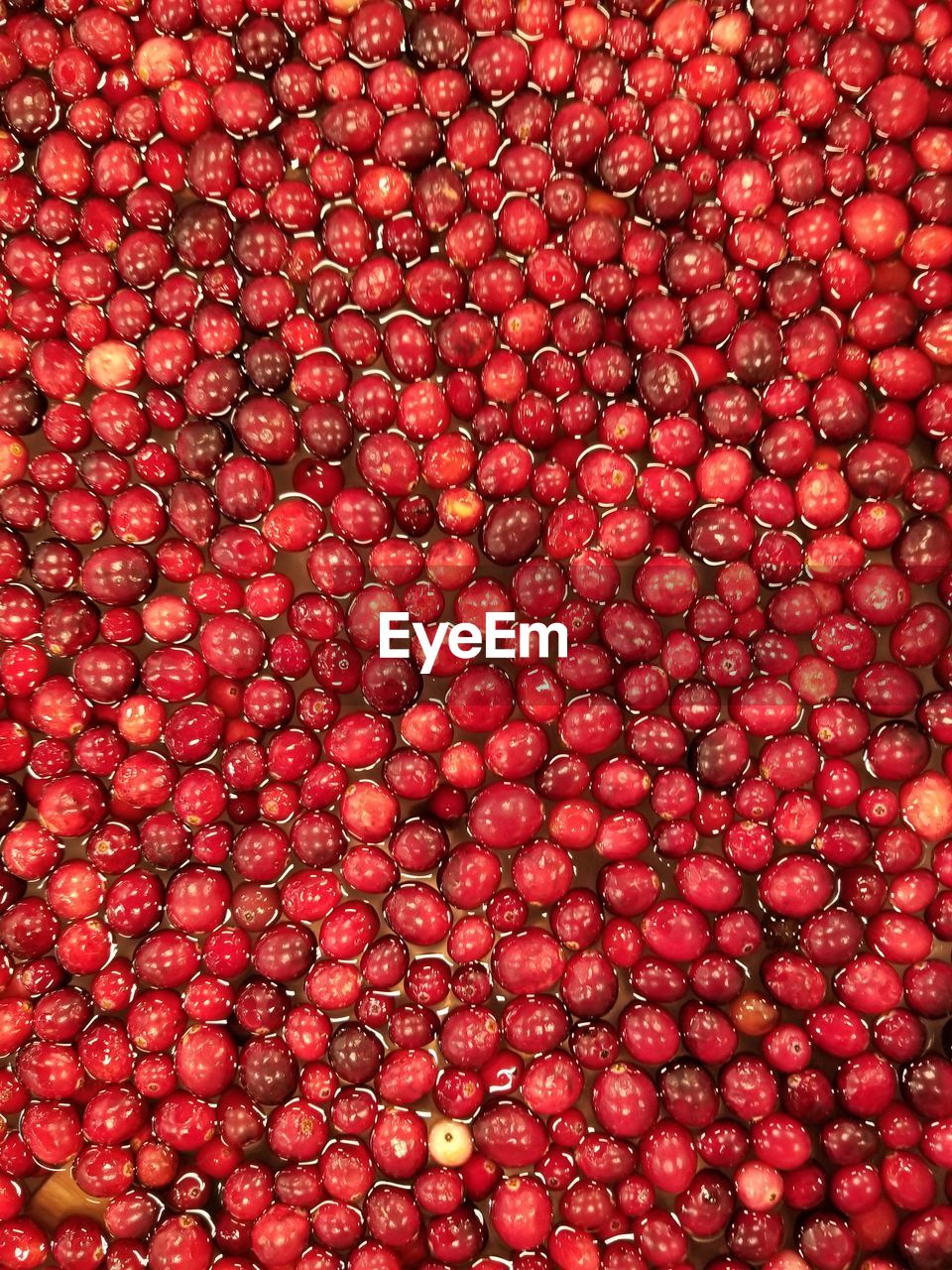 FULL FRAME SHOT OF RED FRUIT