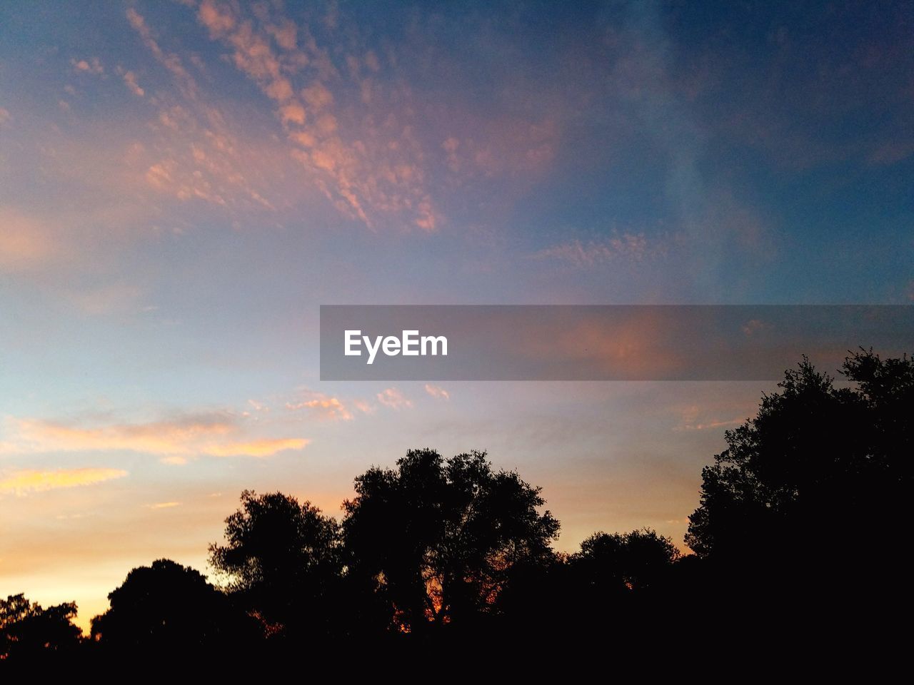 LOW ANGLE VIEW OF SILHOUETTE TREES AGAINST SUNSET SKY