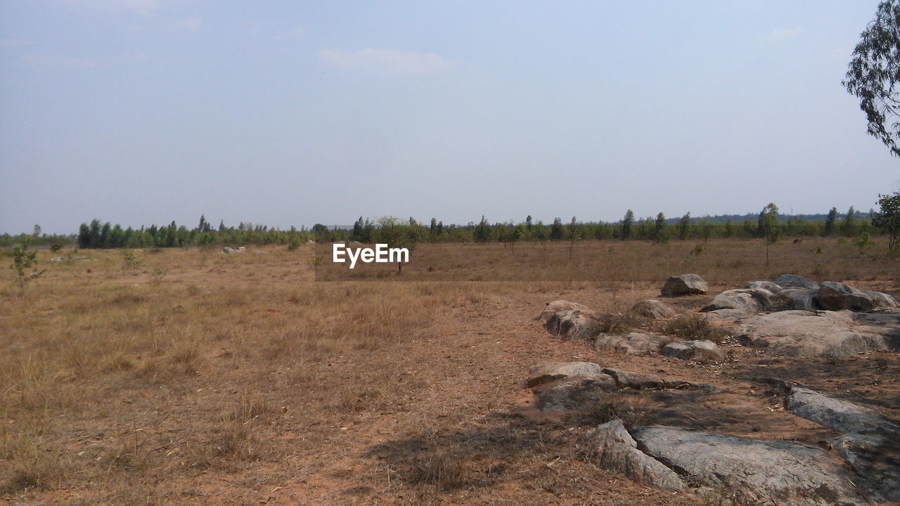 LANDSCAPE AGAINST SKY