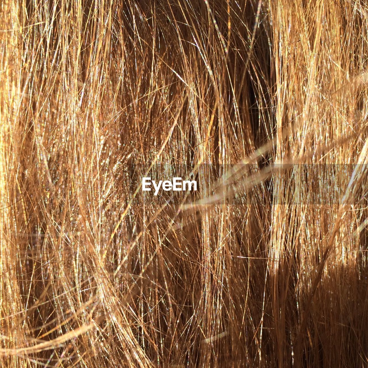 Full frame shot of woman hair