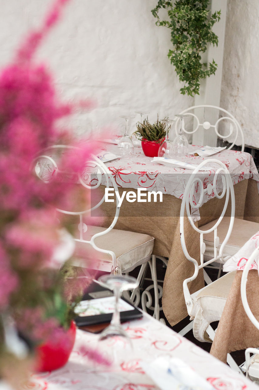 POTTED PLANT ON TABLE WITH CHAIRS