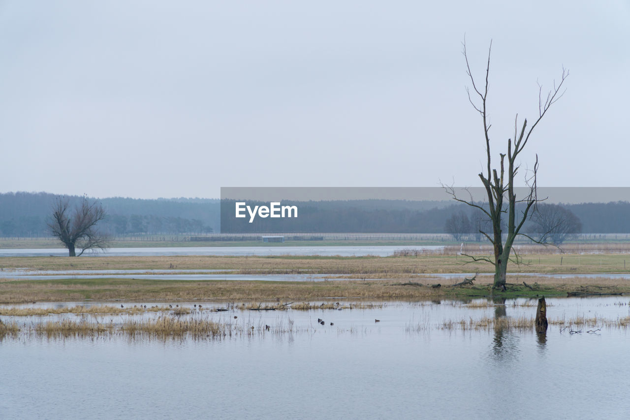 Scenic view of lake against clear sky