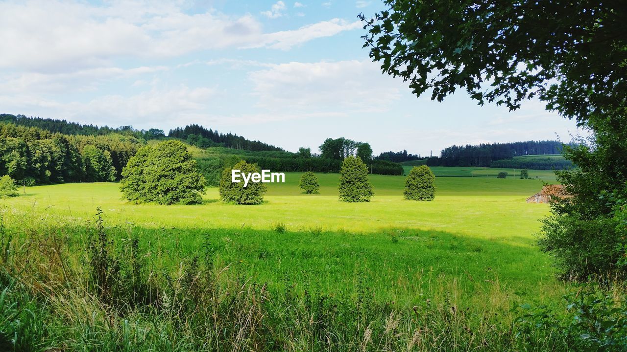 Green landscape against sky