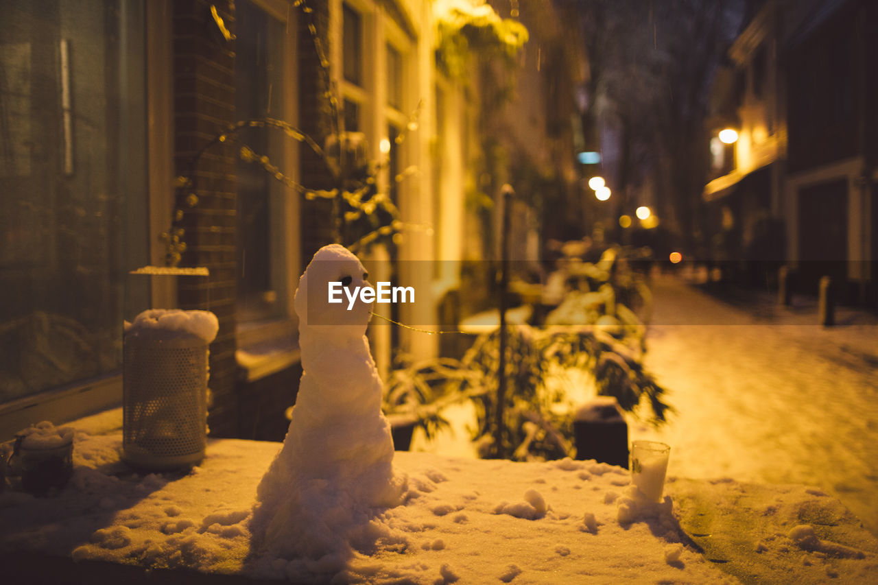 Close-up of snowman at night