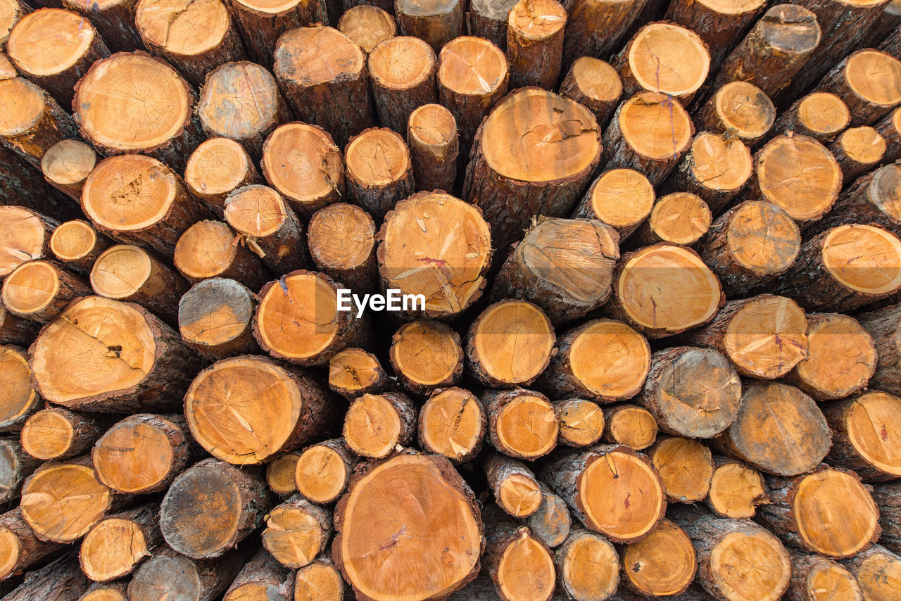 full frame shot of wood logs