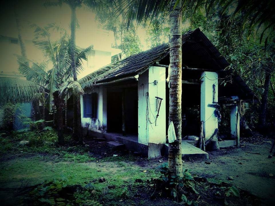 VIEW OF ABANDONED HOUSE