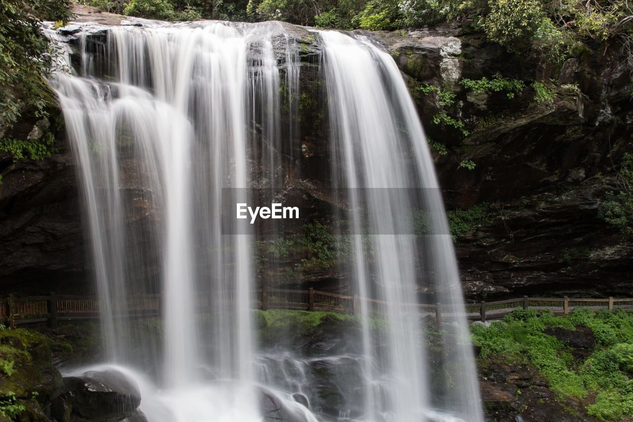 WATERFALL IN A FOREST