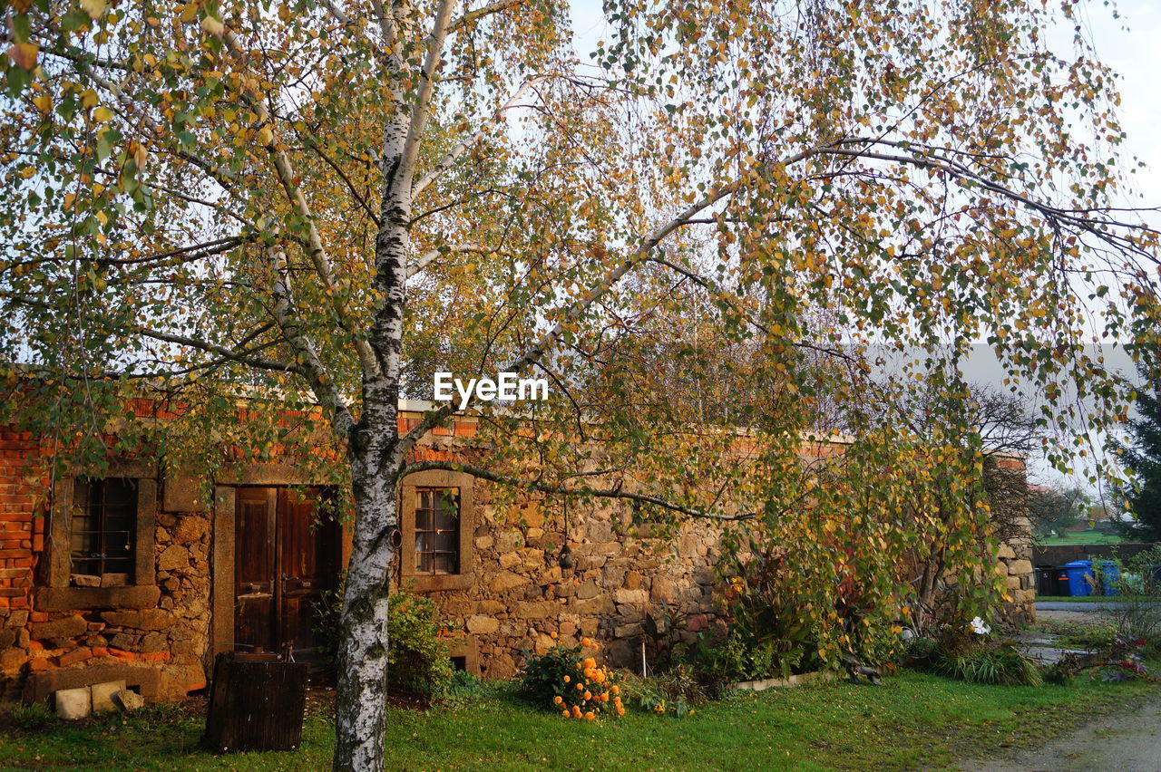 View of house and tree