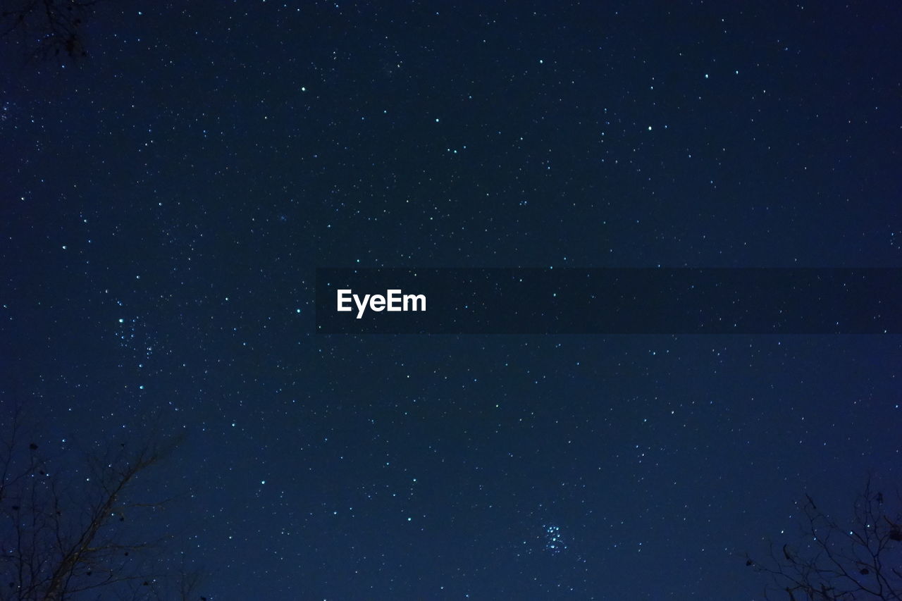 Low angle view of silhouette bare trees against star field