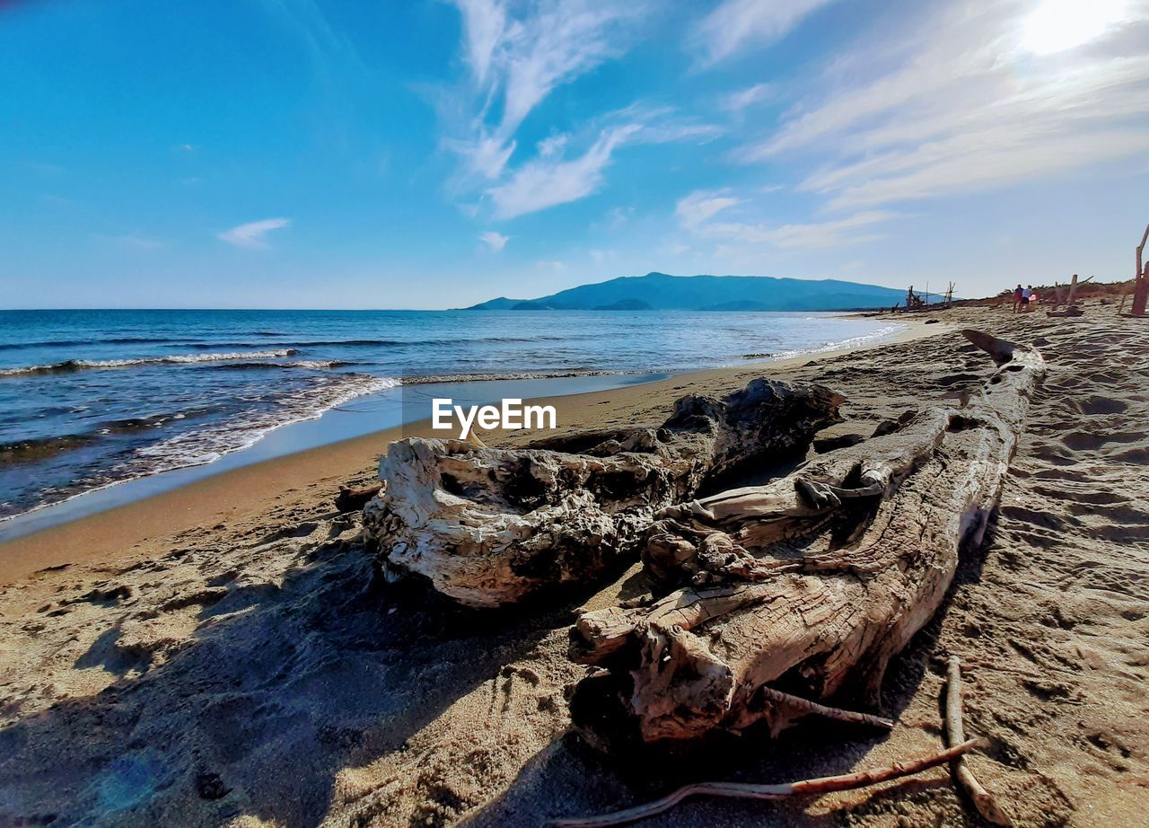 Scenic view of driftwood on beach against sky