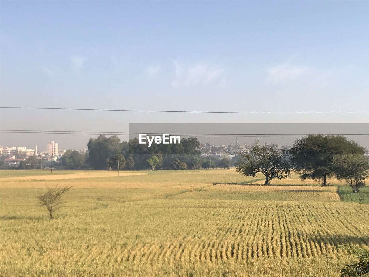 SCENIC VIEW OF FARMS AGAINST SKY