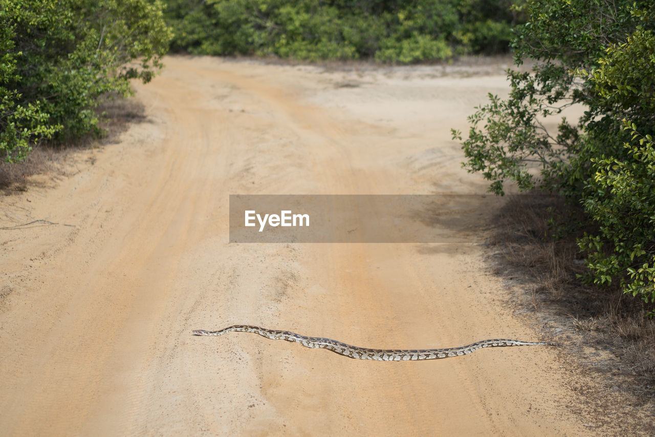 High angle view of dirt road