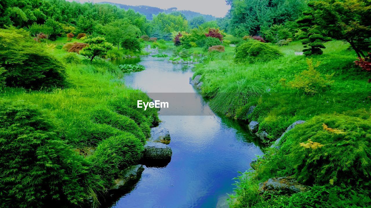 Scenic view of river amidst green landscape