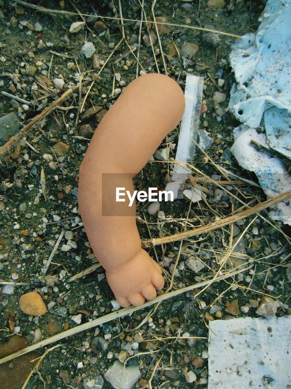 Broken doll hand in trash