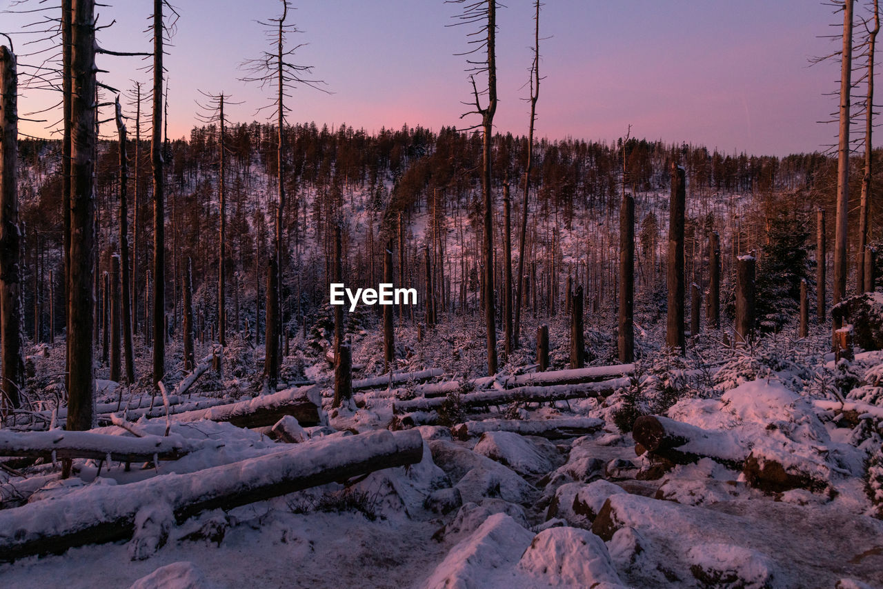 Scenic view of snow covered land during sunset