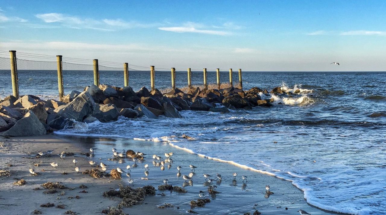 View of bird perching on beach