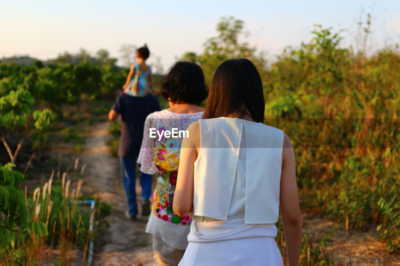 Rear view of family walking in field