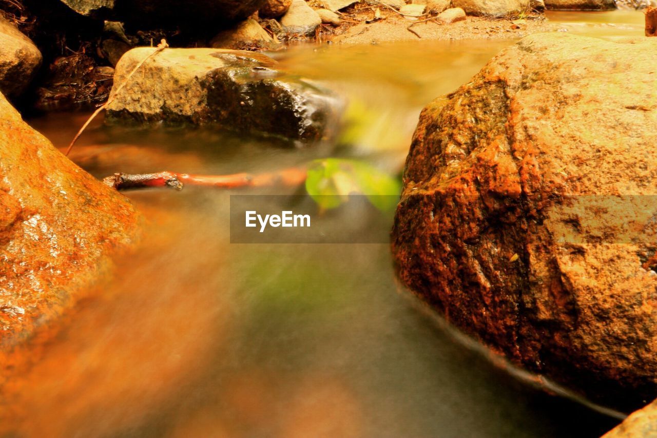 High angle view of stream flowing at forest