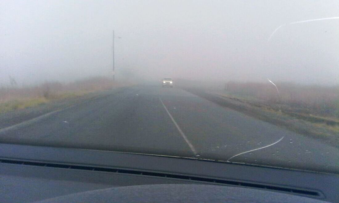 ROAD PASSING THROUGH FOREST