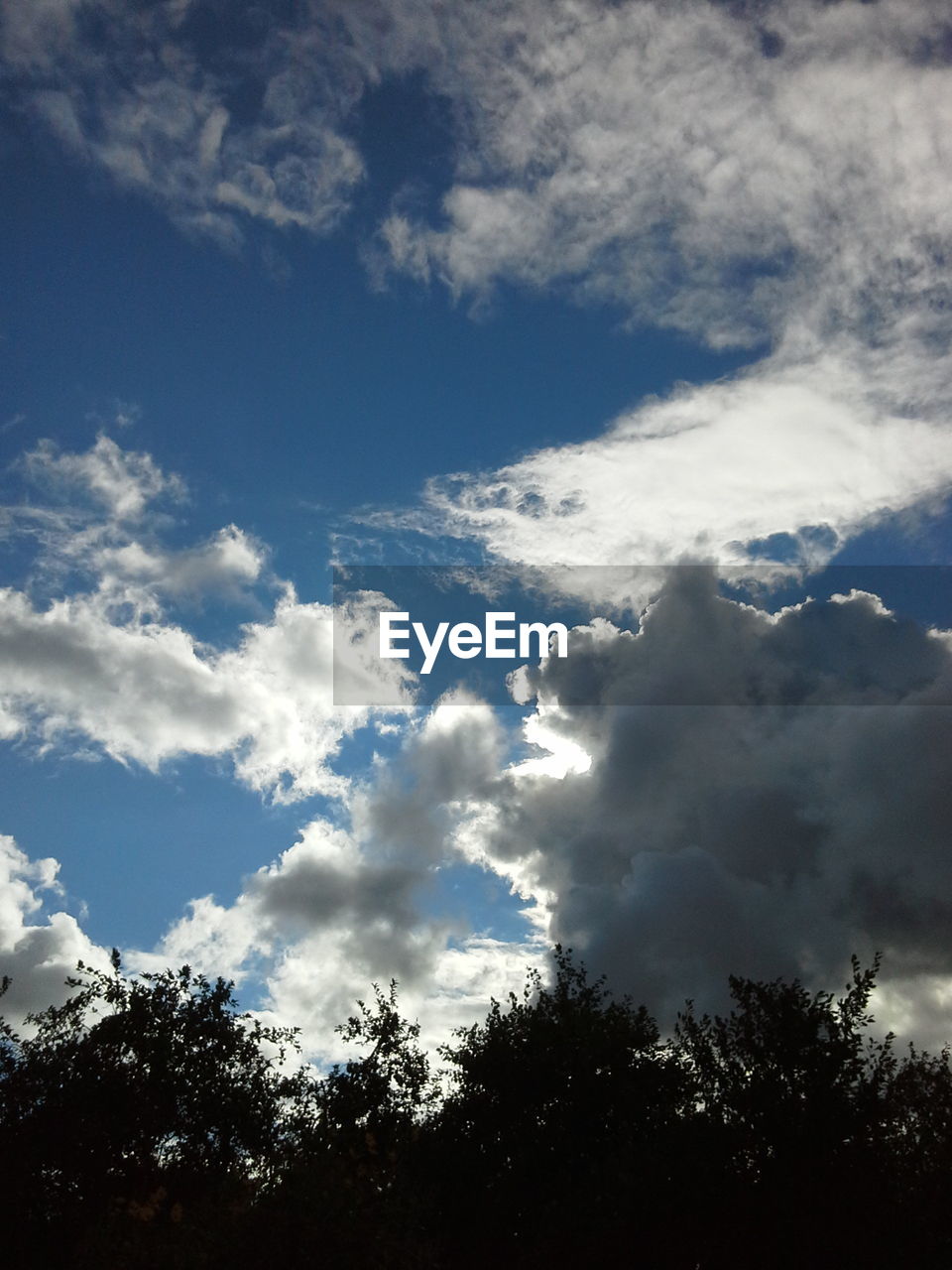 LOW ANGLE VIEW OF TREES AGAINST CLOUDY SKY