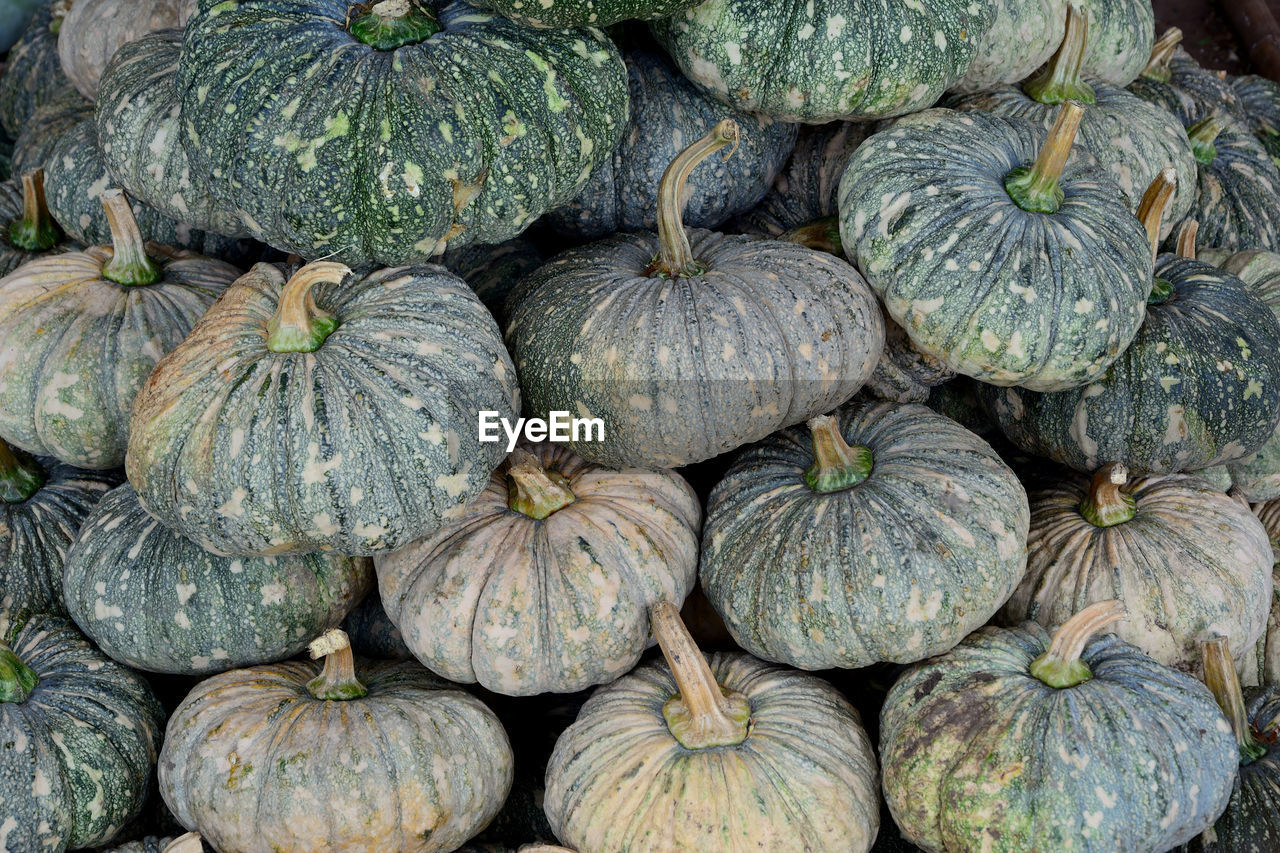 Close up group of pumpkin stacking. pumpkin background