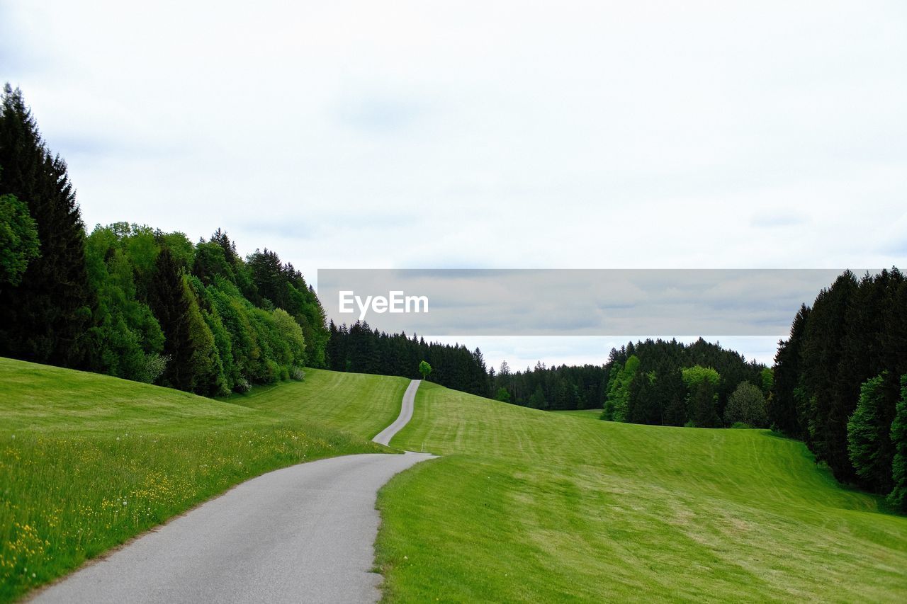 Scenic view of road amidst trees against sky