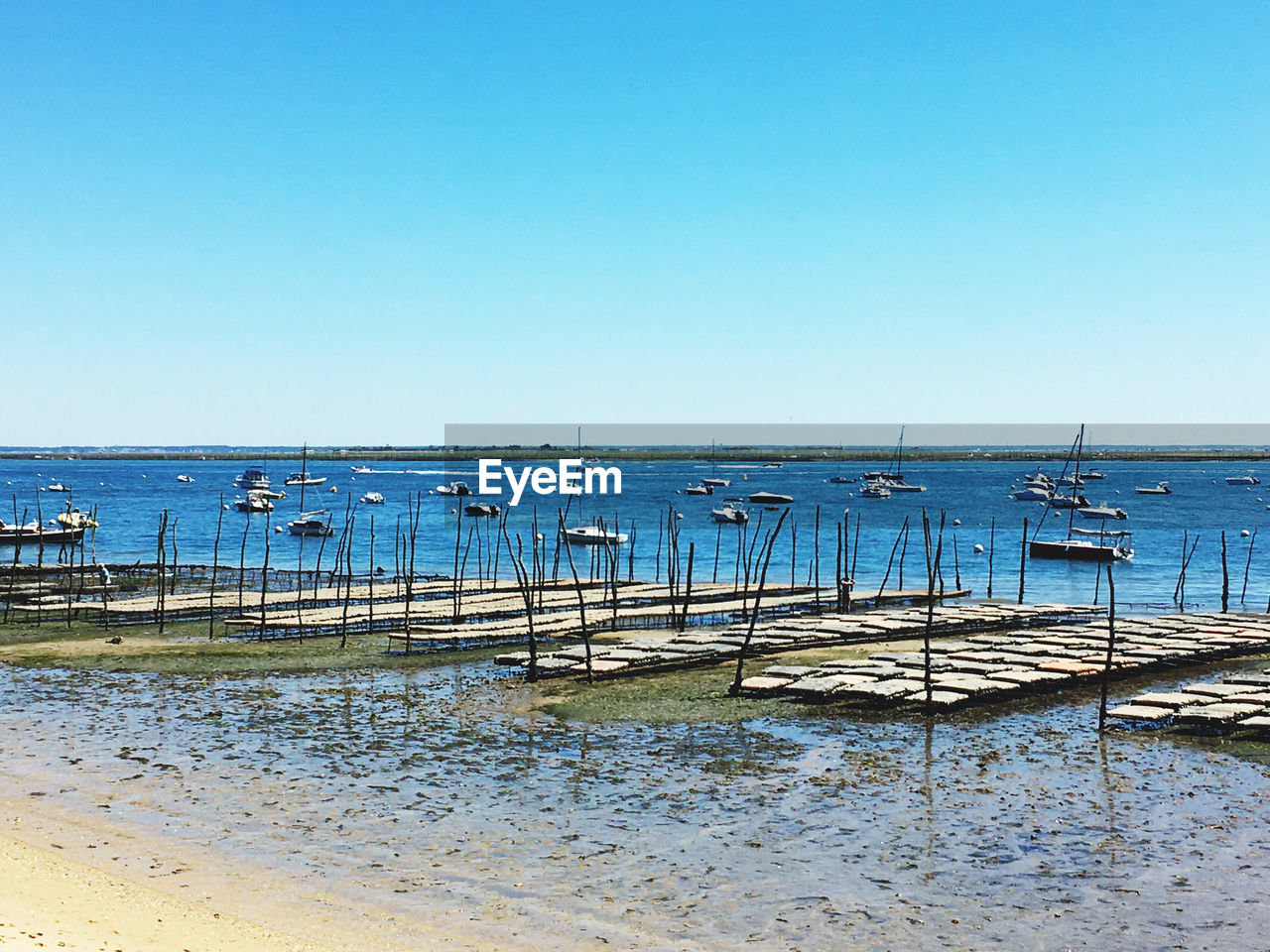 SCENIC VIEW OF BEACH AGAINST CLEAR SKY