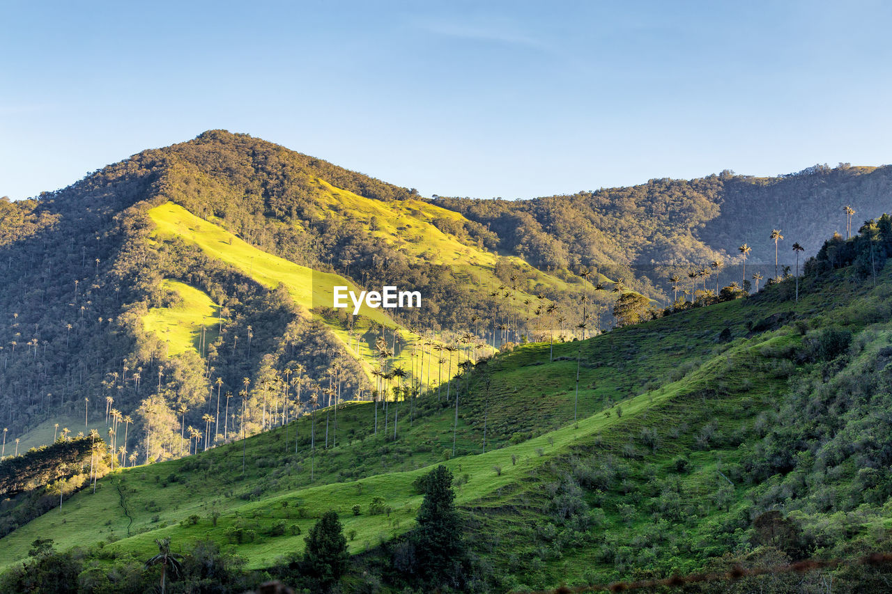 SCENIC VIEW OF LANDSCAPE AND MOUNTAINS AGAINST CLEAR SKY