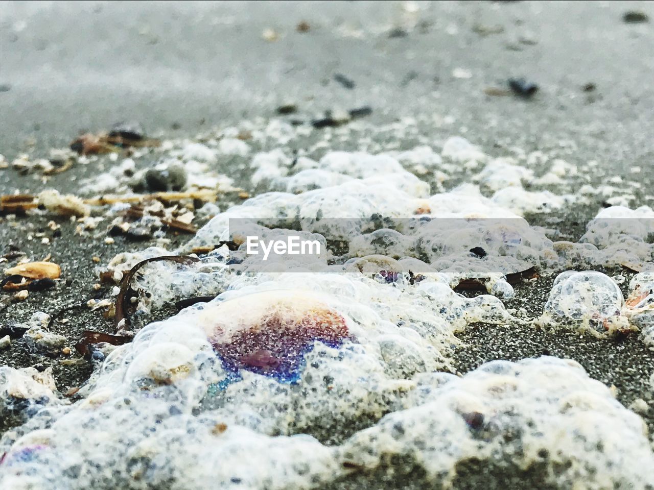 CLOSE-UP OF PEBBLE BEACH WITH PEBBLES