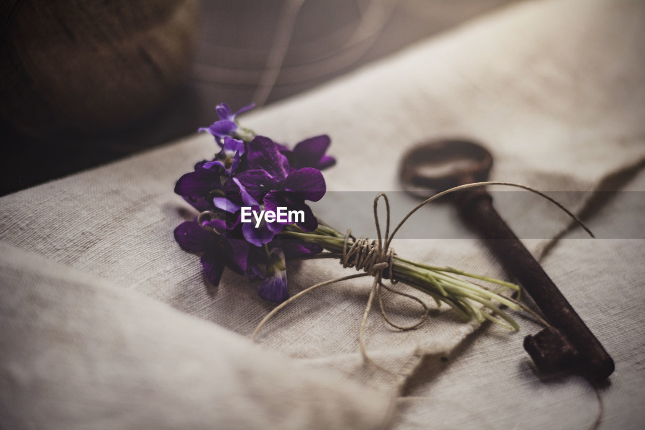 Close-up of violets and old key on table