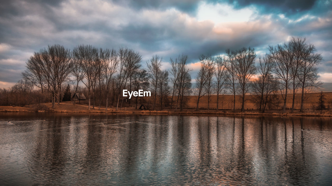 REFLECTION OF BARE TREES IN LAKE AGAINST SKY