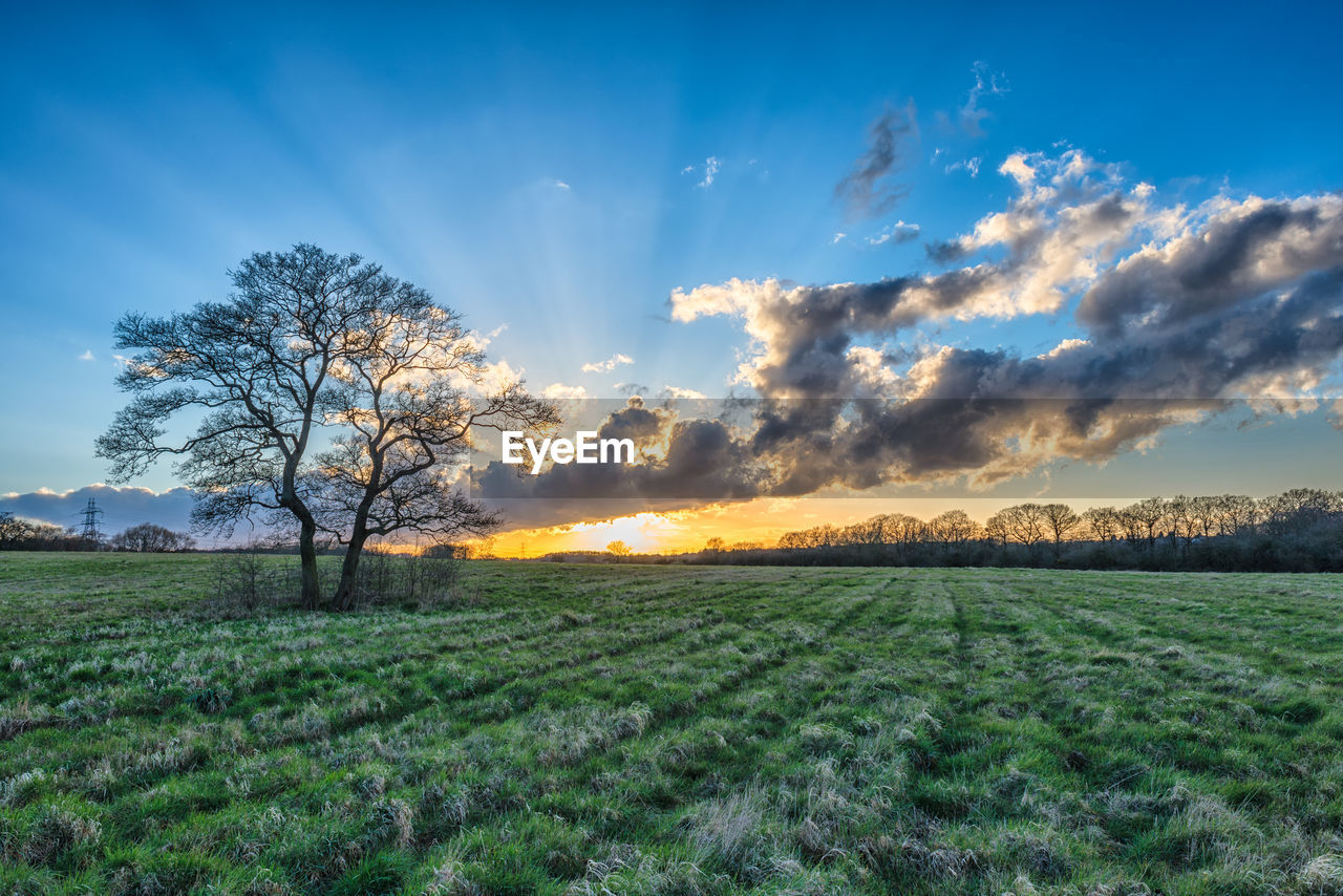 Scenic view of field against sky at sunset