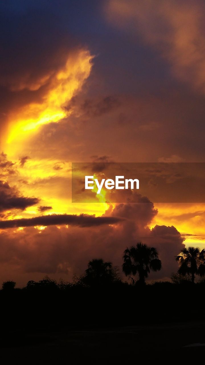 SILHOUETTE TREES AGAINST DRAMATIC SKY DURING SUNSET