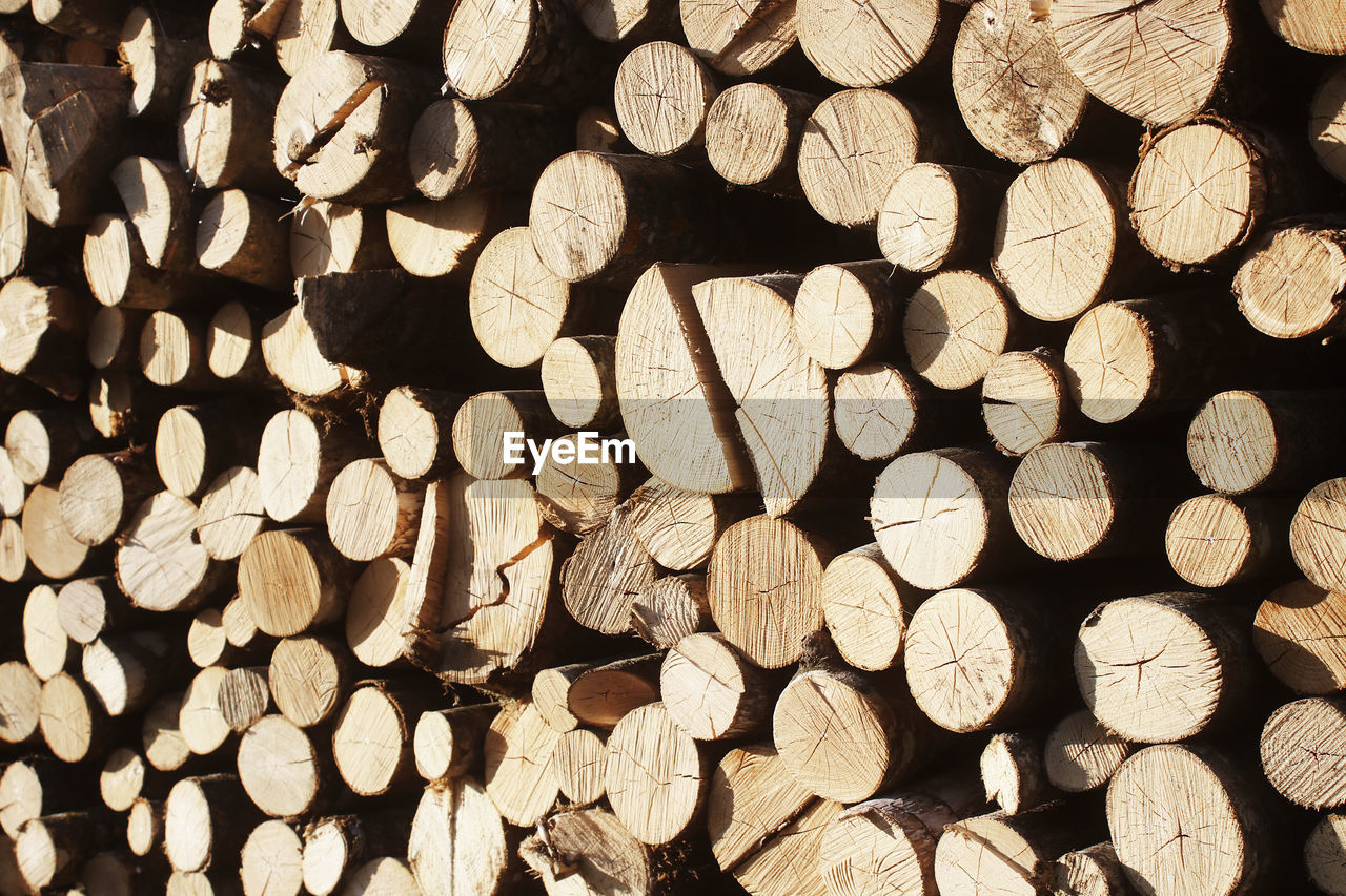 FULL FRAME SHOT OF LOGS IN THE FOREST