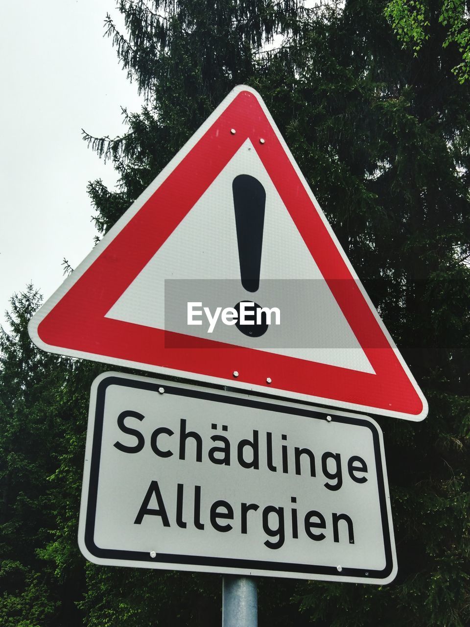 LOW ANGLE VIEW OF ROAD SIGNS AGAINST TREES