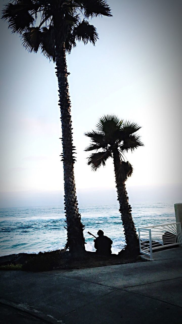 Silhouette palm tree by sea against sky